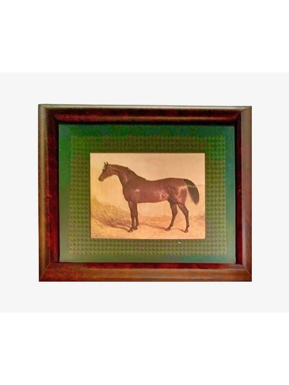 Horse Print Dark Bay Stallion Vintage Equestrian Art Classic Decor